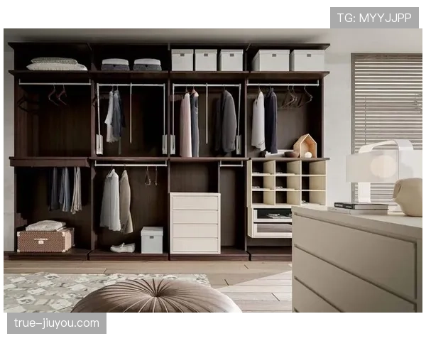 常园衣帽间像精品店，我看着衣架都想给银行卡道歉